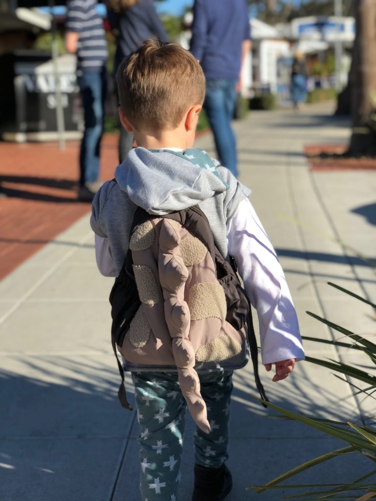 A little boy with a back pack